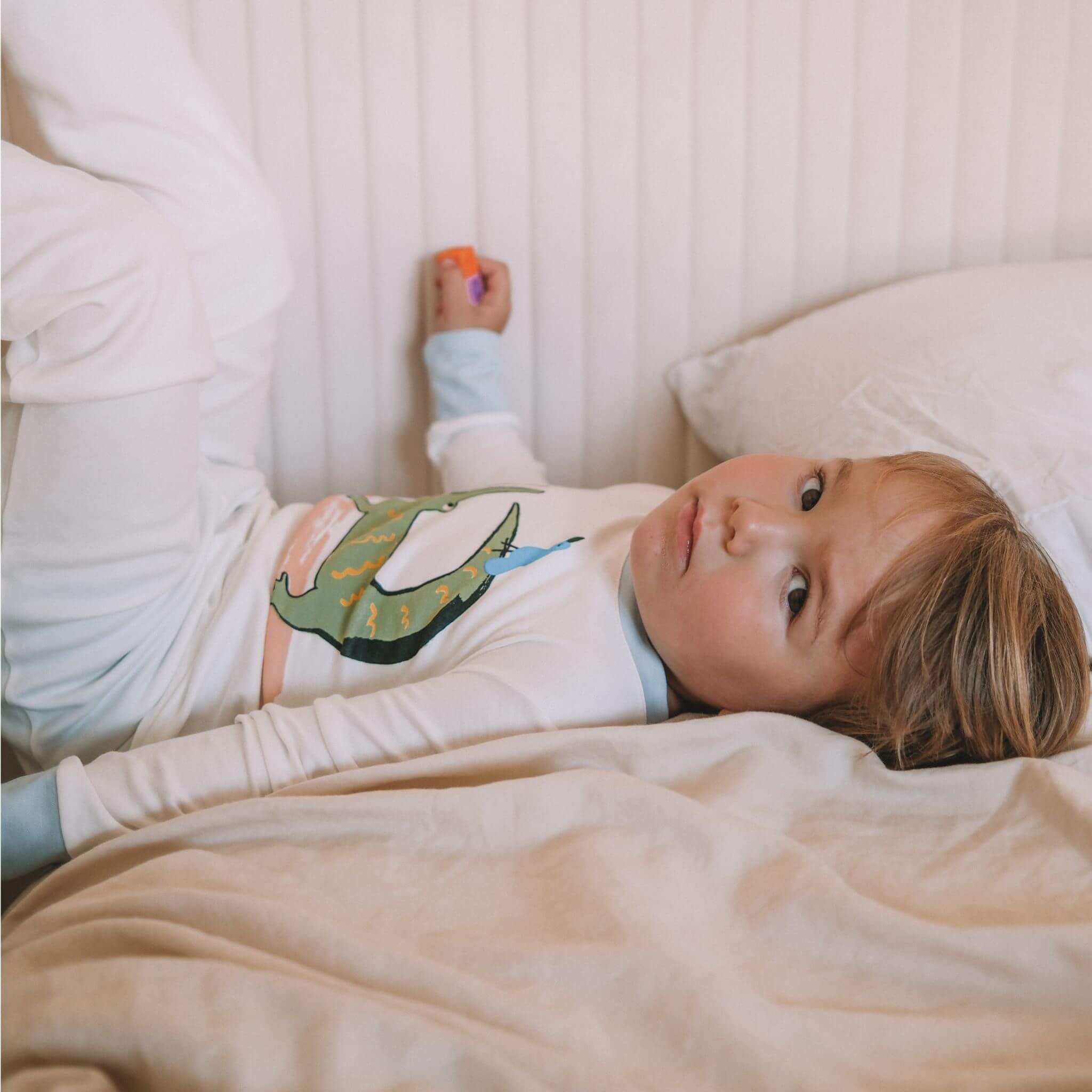 Firebird Kids is the organic and sustainable destination for boys sweaters