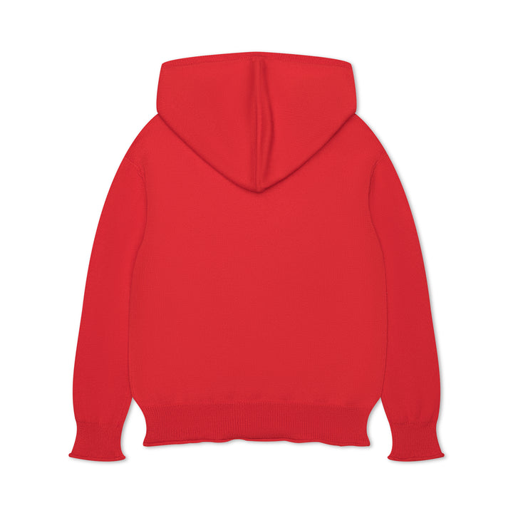 Cotton Cashmere Hoodie Sweater