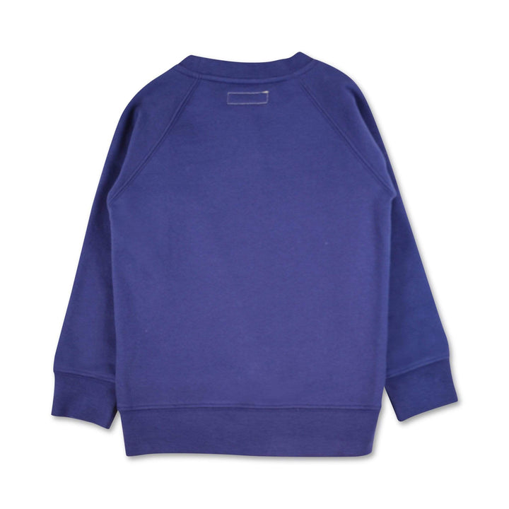 Kids sweatshirts. 100% Organic cotton fleece, cut and sew in NYC. Deep blue color. Golden feather embroidery as a nice and stylish detail.